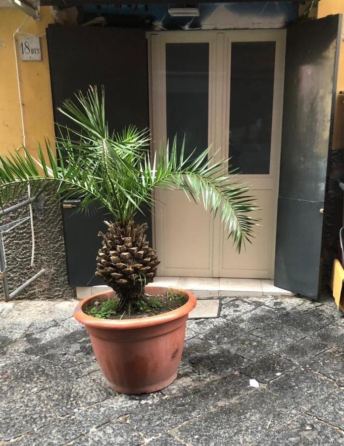 Appartement Graphite House à Naples Extérieur photo